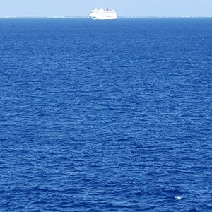 Meet your Posher, Cassandra